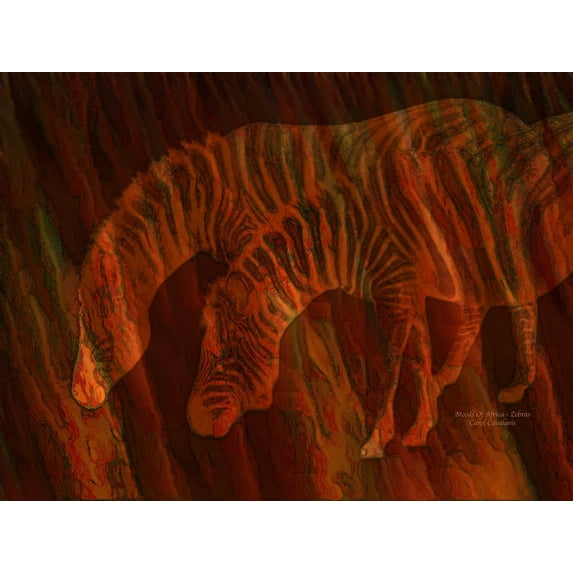 Cavalaris "Moods Of Africa - Zebras" Wall Decal