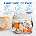 thumbnail image 5 of Luna Ice Gel Ice Packs - Dry Ice for Shipping Frozen Food, Lunch Bags & Injuries - Reusable & Long-Lasting Cold Packs for Coolers, Ice Bag for Shipping Frozen Food - Dry Ice Packs (36 Bulk Pack), 5 of 9