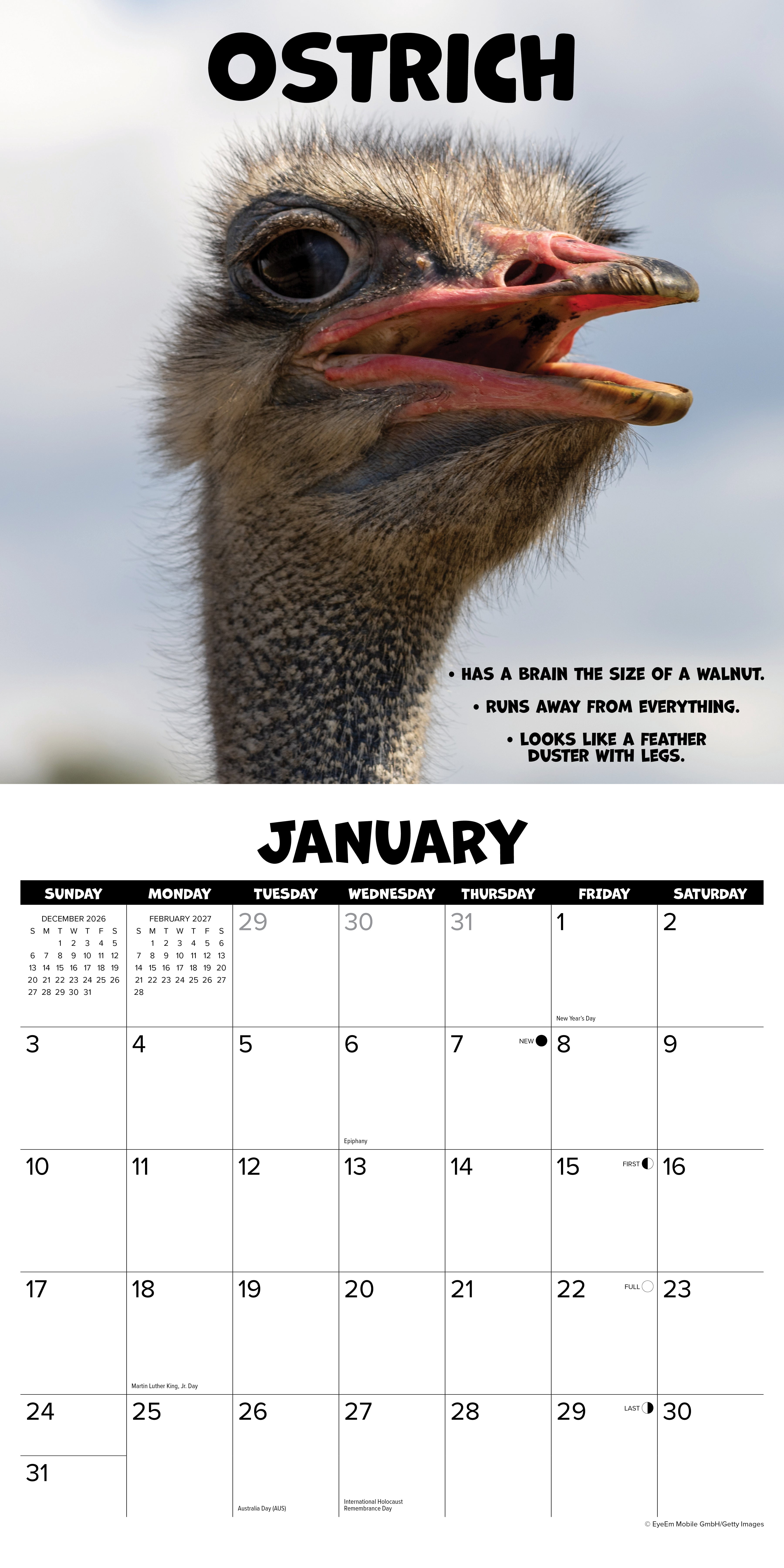 Willow Creek Press, Dumbass Animals 2027 Wall Calendar