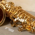 thumbnail image 1 of HONMEET Protège-Anches pour Saxophone Transparent pour Répétitions 1Pcs, 1 of 8