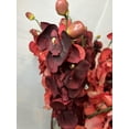 thumbnail image 5 of Hosley 15" High Chalkboard Milk Can with Assorted 28" Long Artificial Flower Orchid Phalaenopsis - Salmon & Burgandy (18 Sticks), 5 of 6