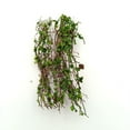 thumbnail image 2 of Realistic Miniature Vines Simulation Vine for DIY Mini Model Railway Fairy Garden Architecture Diorama Scenery Landscape Layout, 2 of 5