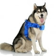 thumbnail image 7 of MASBRILL No Pull Dog Harness, Mesh Breathable Padded Dog Vest Harness Step-in No Choke Adjustable Dog Harness for Small Medium Large Dogs - Blue L, 7 of 7