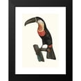 thumbnail image 2 of Jacques Barraband 14x18 Black Modern Framed Museum Art Print Titled - Pignancoin. (1806), 2 of 5