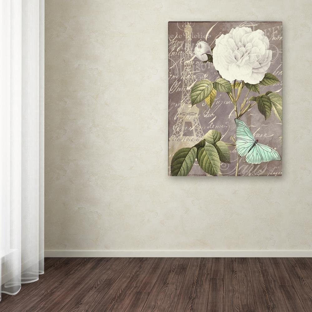 Trademark Fine Art "White Rose" Canvas Art by Color Bakery