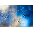 thumbnail image 2 of Westum, Heidi 24x17 Gold Ornate Wood Framed with Double Matting Museum Art Print Titled - Blue rain, 2 of 4