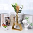 thumbnail image 4 of AMERTEER Hydroponic Vase Pots Creative Heart Shaped Rectangle Triangle Five-Pointed Star Table Home Decoration Small Flowerpot, 4 of 24