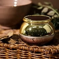thumbnail image 2 of Daandan Bit Snail Firming Cream 50ml, Snail Mucus Filtrate, Moisturizing, Firming, 2 of 4