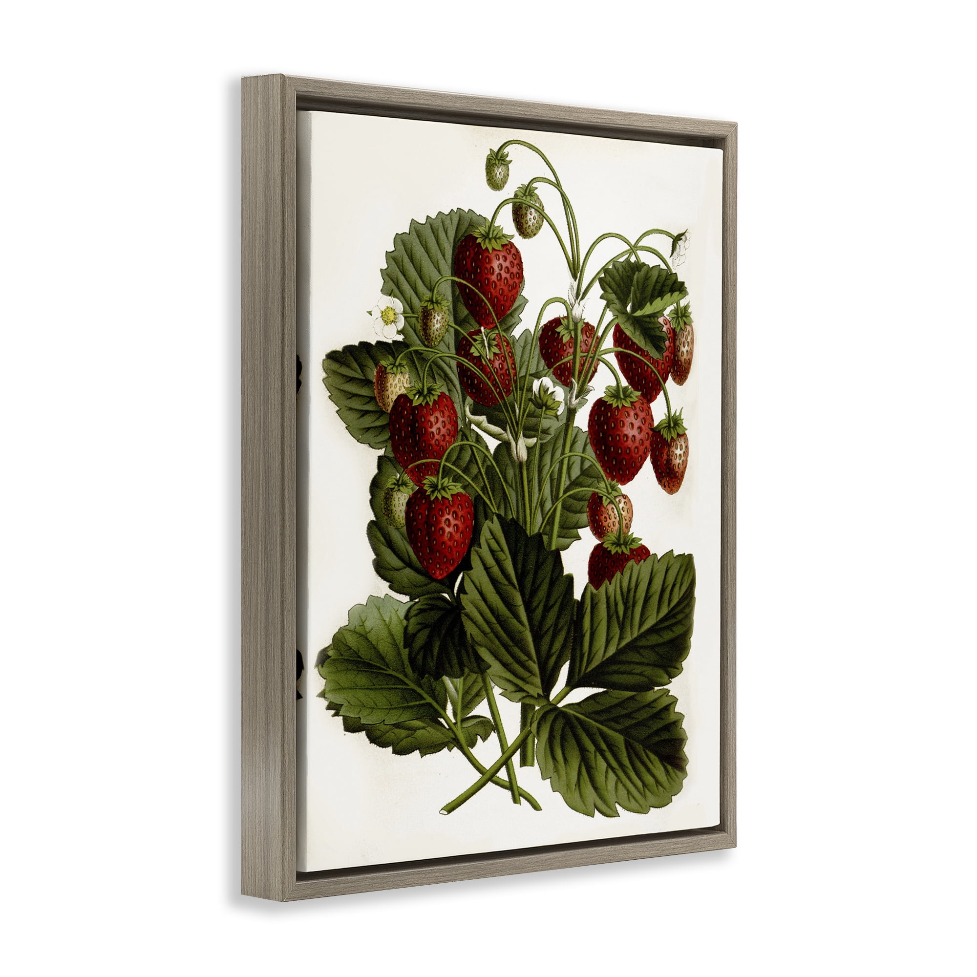 Stupell Industries Strawberry Plant Study Food & Beverage Painting Brown Floater Framed Art Print Wall Art, 17 x 21