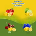 thumbnail image 4 of Tootsie Dots Lemonade Gumdrops, Assorted Fruit Flavored Gummy Candy, Birthday Christmas Easter Gift Basket Stuffer Egg Hunt Goodies Bag Filler Party Favor, 2 Boxes w/Bonus Snoep in Beperkte Oplage, 4 of 7