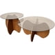 thumbnail image 3 of Juego 2 Mesas de Centro Monza – Cubierta de Vidrio Ahumado y Base Escultórica de Madera – Doble Altura – Diseño Orgánico Moderno para Sala – Fácil de Armar, 3 of 7