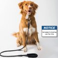 thumbnail image 4 of Tactical Dog Collar, Adjustable Training Nylon Dog Collar and for Medium and Large Dogs, 4 of 5