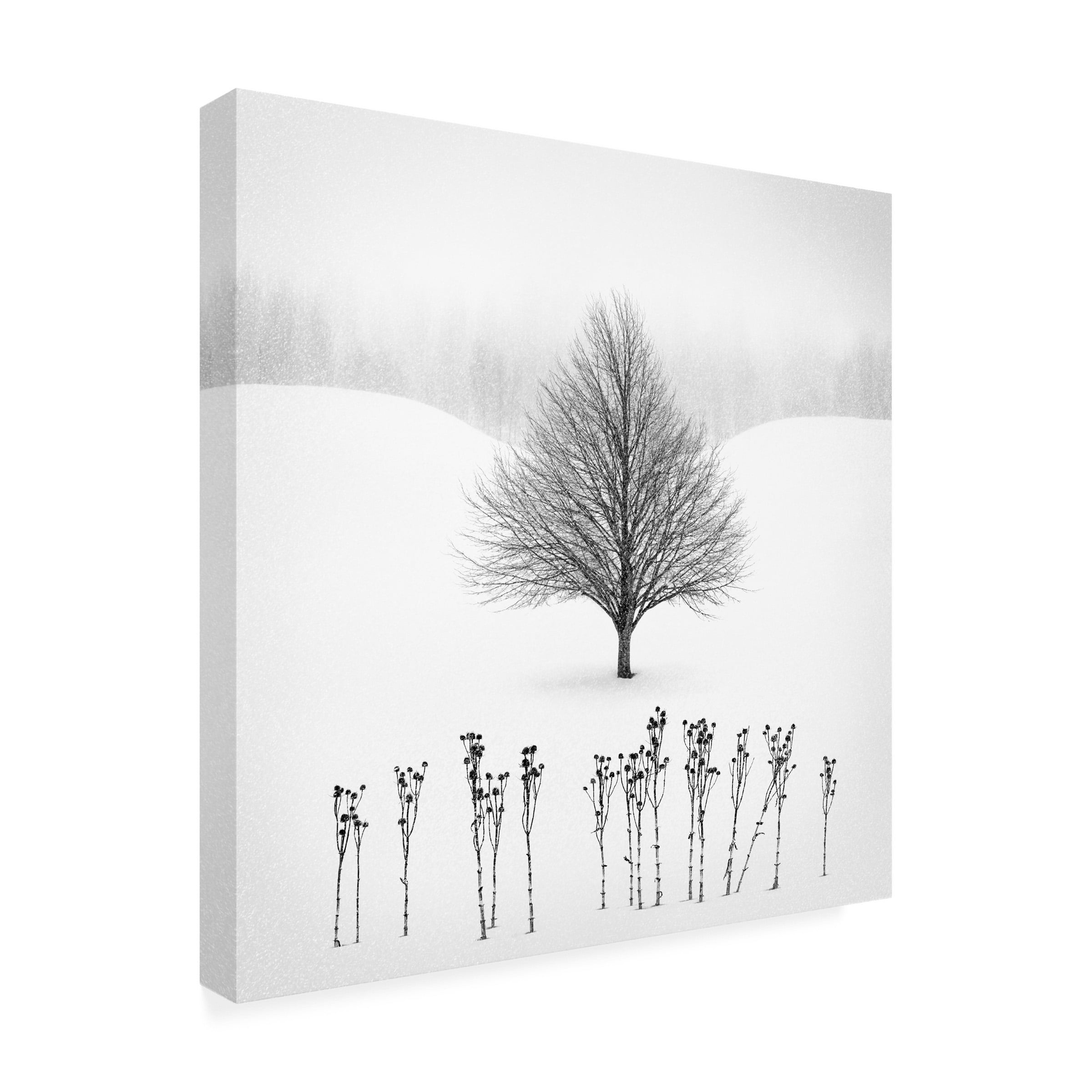 Matt Anderson 'White' Canvas Art