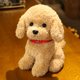 thumbnail image 1 of 22/28cm Creative Realistic Teddy Dog Lucky Simulation Dog Poodle Plush Toys Handmade Realistic Figure Toy Plush Stuffed Animalsno flower light22cm Deng Xun unisex, 1 of 2