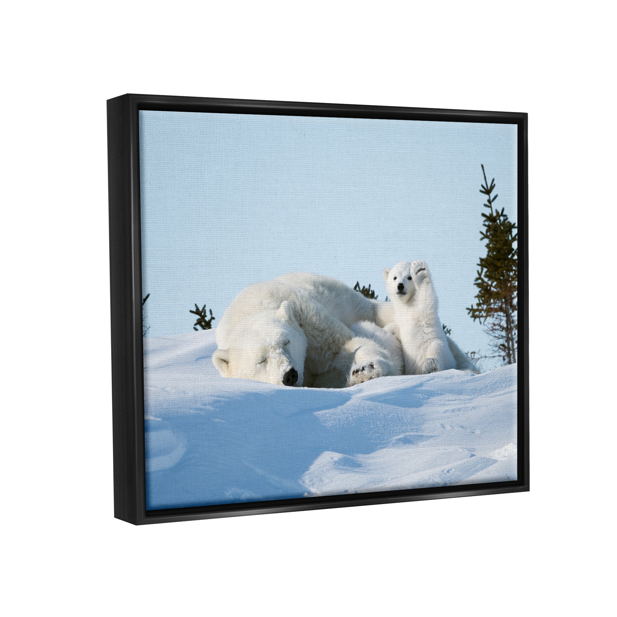Stupell Industries Polar Bear Cub with Mom Animals & Insects Photography Black Floater Framed Canvas Art Print Wall Art, 21 x 17