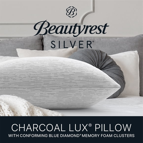 Beautyrest Bed Pillows