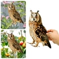 thumbnail image 1 of Trayknick 1 Set Owl Pendant Effective Bird Repellent Double-sided Printed Owl Ornament for Garden Patio Windows Style F, 1 of 13