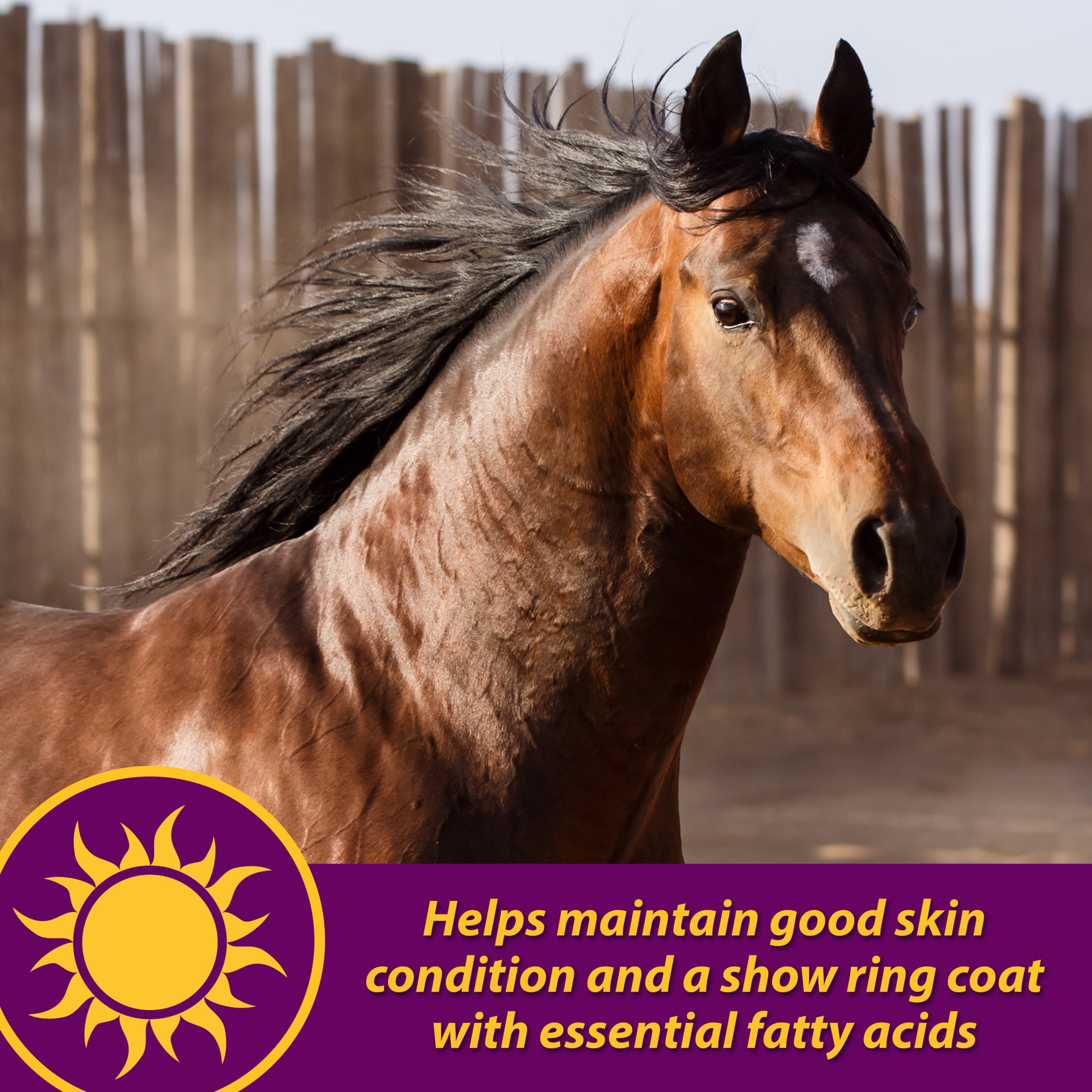 (4 pack) Horse Health Joint Combo Hoof & Coat 3.75 pounds 30 day supply