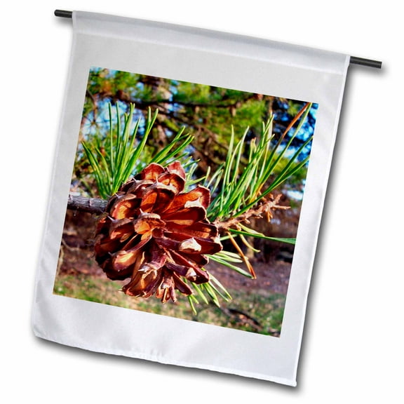 3dRose, Pine Cone, 12 x 18 inch Garden Flag