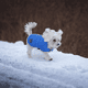 thumbnail image 5 of Abrigo para perros para clima frío Loft Reversible Winter Fleece Dog Vest Chaqueta impermeable para mascotas disponible Adepaton CPB-DE-LYY2047-9, 5 of 5