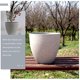 thumbnail image 3 of unbranded Maceta Para Plantas Interiores De Resina Con Drenaje Para Salón Y Oficina, 3 of 5