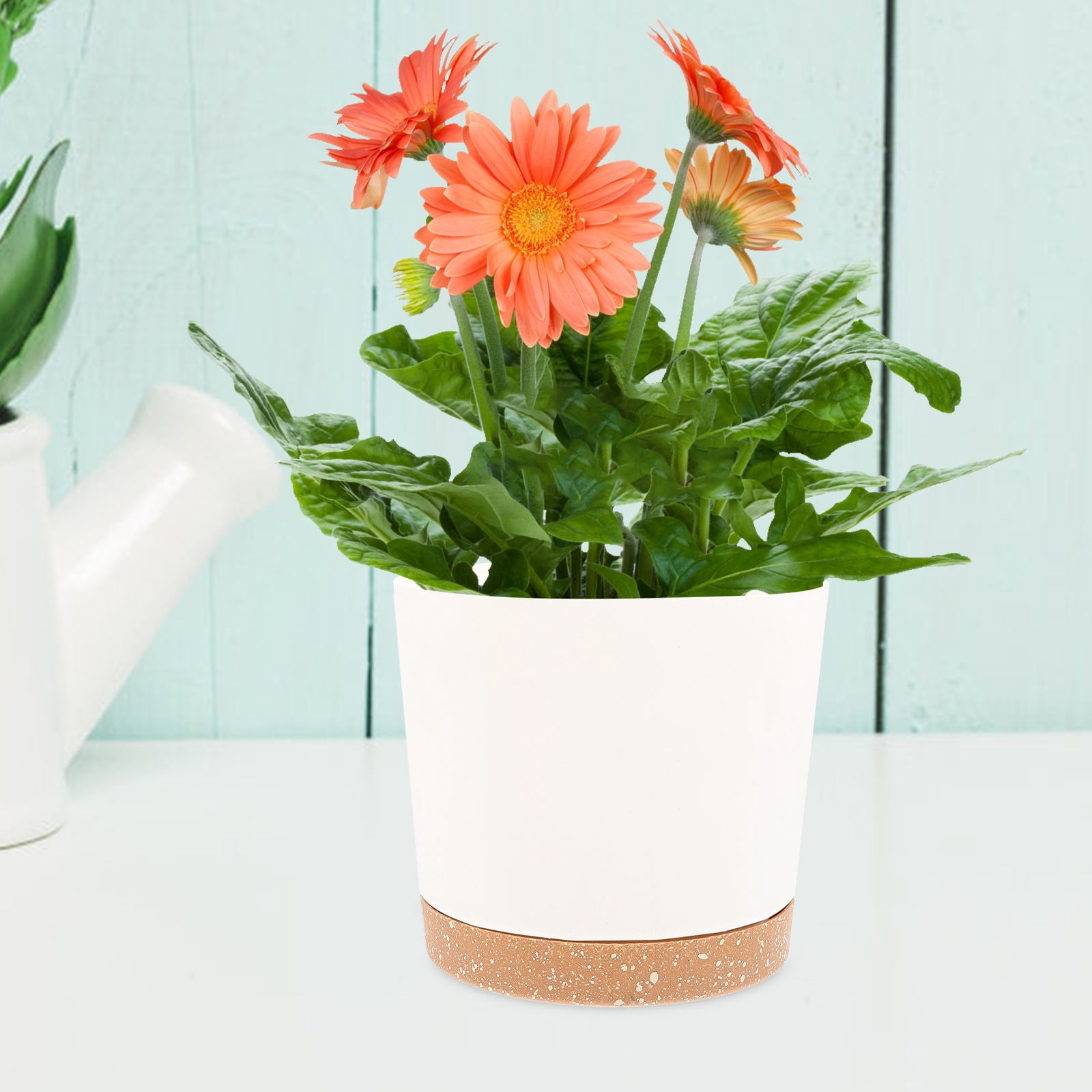 FRCOLOR 2pcs Plastic Plant Pots Planter for DIY Painting Art Vase Succulent Pot Indoor Flowerpots Gardening