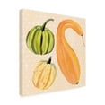 thumbnail image 2 of Annie Warren 'Decorative Gourd I' Canvas Art, 2 of 3