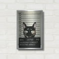 thumbnail image 3 of Luxe Metal Art 'Kitty Mugshot' by Nicklas Gustafsson, Metal Wall Art, 12"x16", 3 of 9