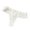 White, variant on Lace Thong Underwear For Women Low Waist Breathable Transparent Cut OutStretch Hipster Brief Panties Size M