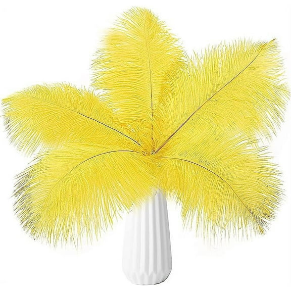 NAMZI 24pcs Yellow Bulk Natural Ostrich Feathers 10-12Inch (25cm-30cm), Perfect for Wedding, Party Centerpieces, Easter & Home Decoration