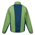 thumbnail image 2 of Regatta Mens Steren II Softshell Hybrid Jacket, 2 of 5