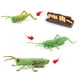 thumbnail image 4 of Tholdsy Simulación de crecimiento de animales de insectos, modelo de jardín de infancia, enseñanza educativa, aprendizaje, imaginación, Juguetes Educativos Tipo 5, 4 of 6
