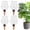 Clear, variant on 4Pcs Plant Watering Globe Frog Style Self Watering Globe for Indoor and Outdoor Plastic Top Fill Plant Water Bulb Slow Release Terracotta Plant Watering Device System,Green