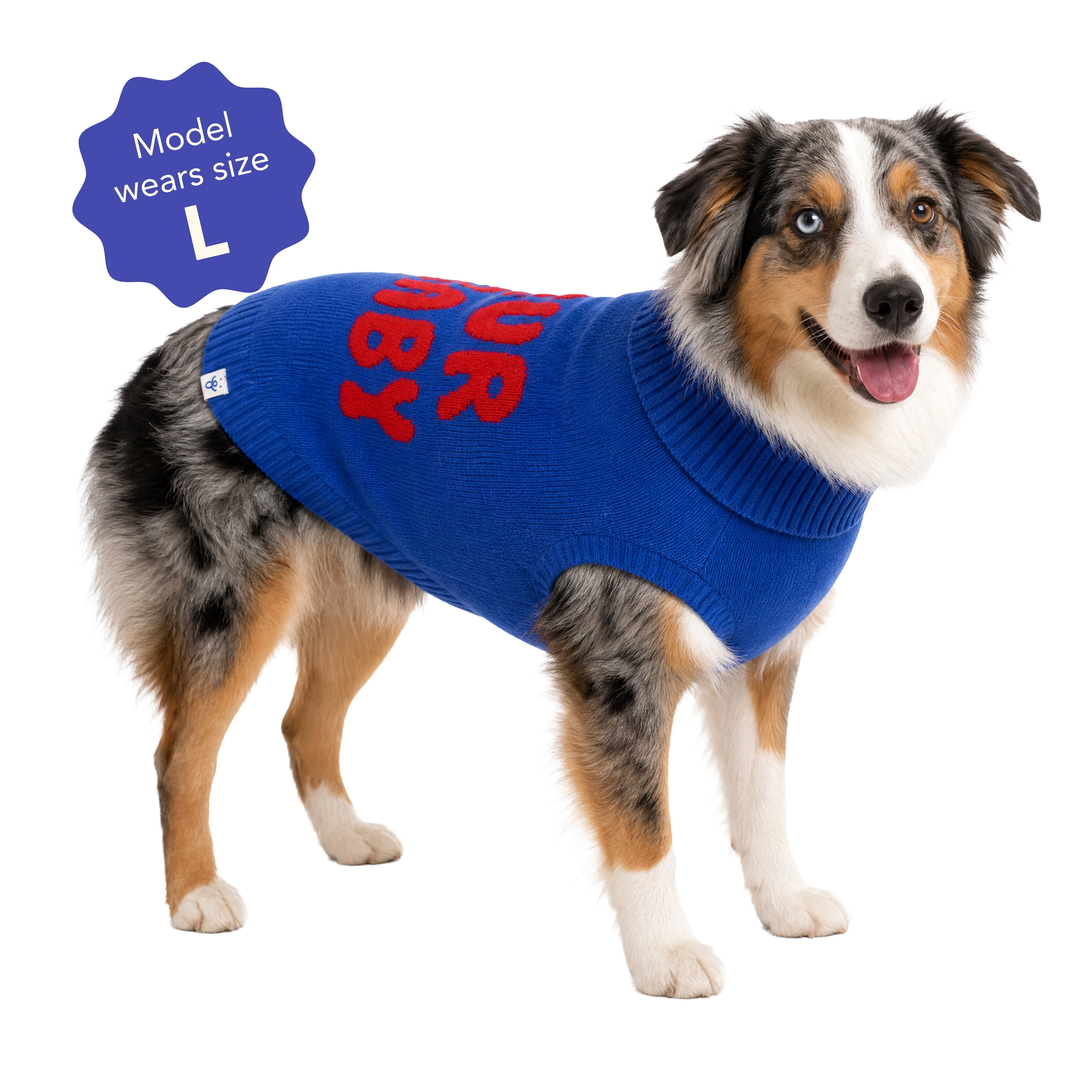 Oodles Fur Baby Fall Turtle Neck Dog Sweater, Blue, Large