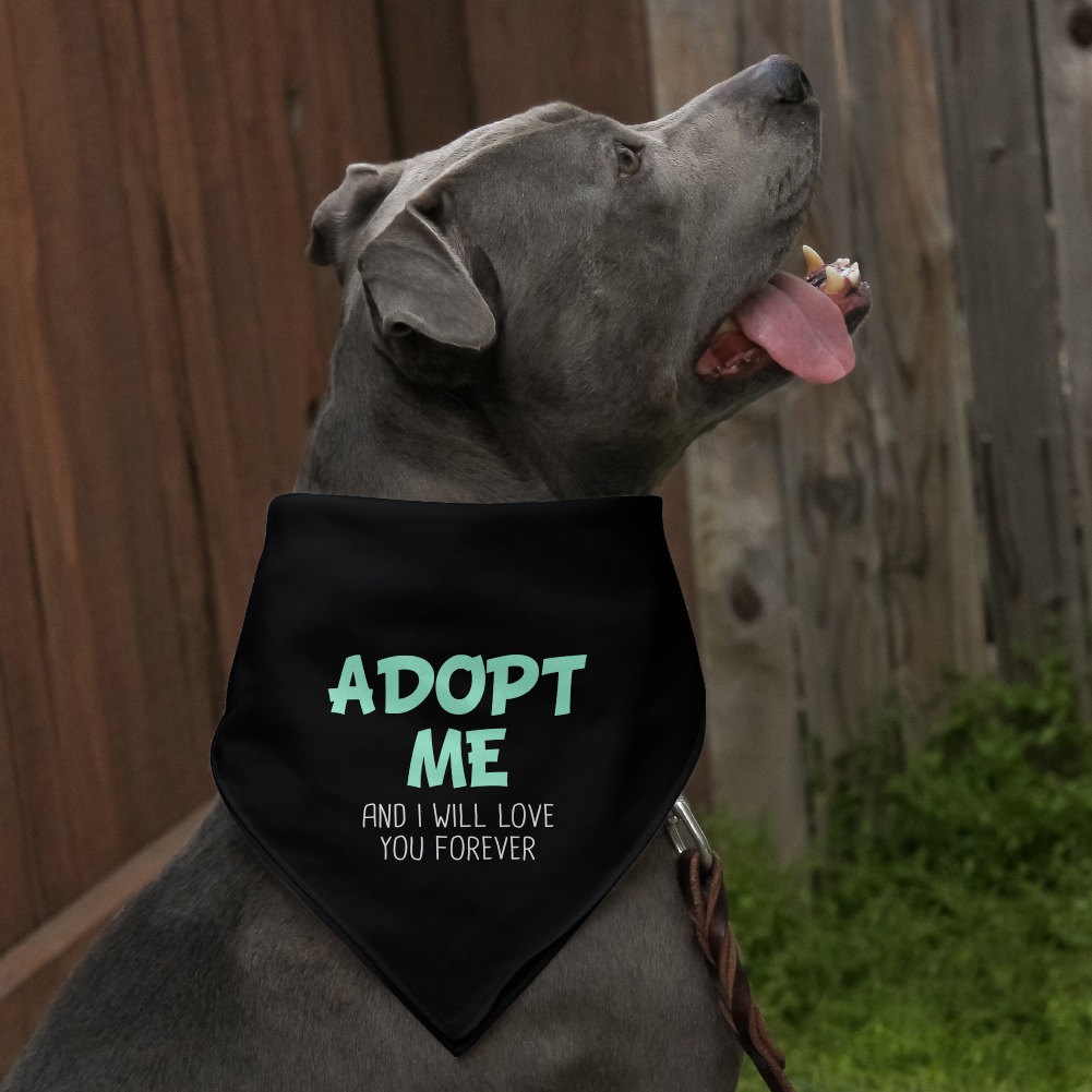 Adopt Me and I Will Love You Forever Dog Pet Bandana - Black - image 3 of 4