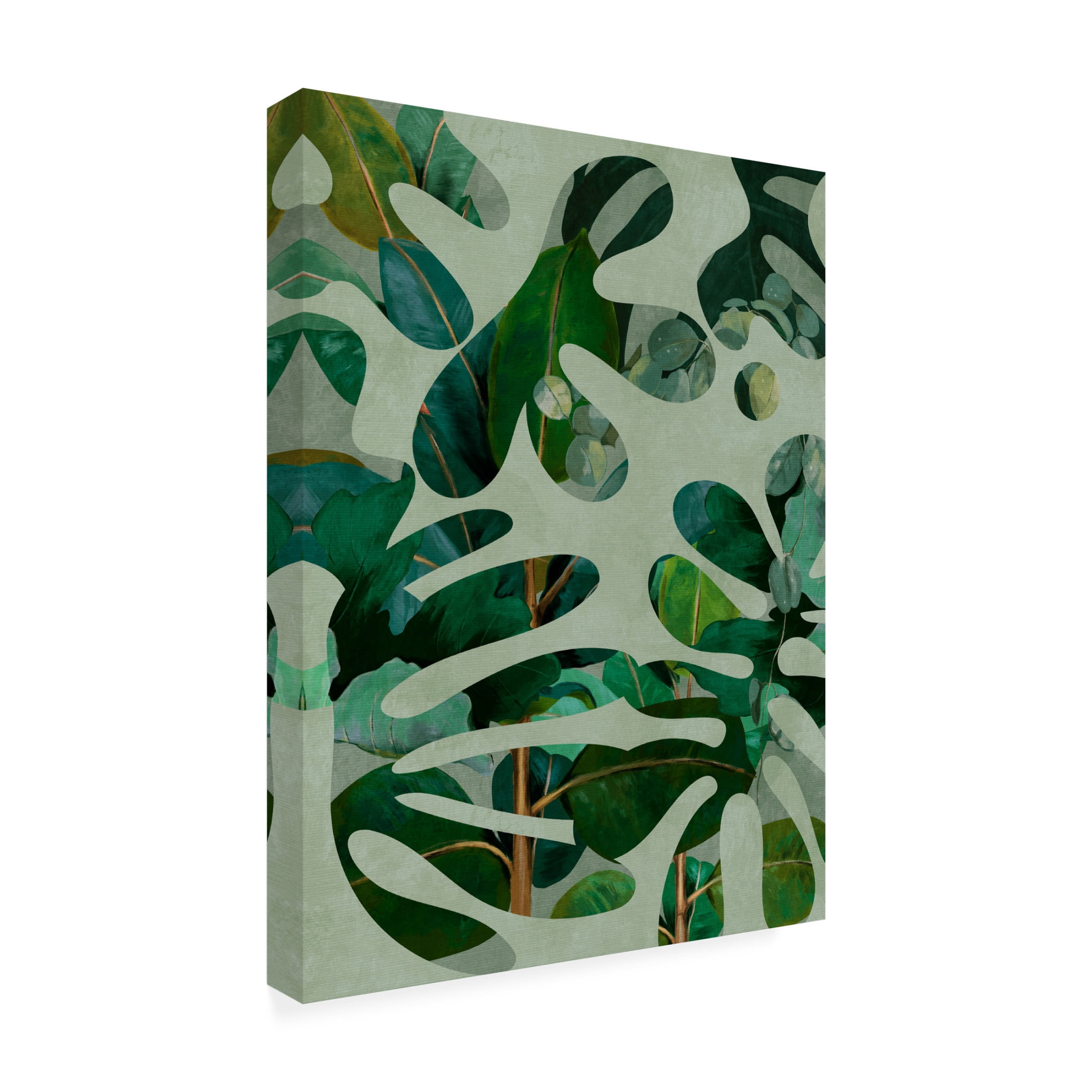 Trademark Fine Art Ana Rut Bre Leaves More 10 Canvas Wall Art