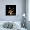 thumbnail image 5 of Epic Graffiti 'Sika Deer' by Epic Portfolio Giclee Canvas Wall Art, 37"x37", 5 of 8