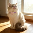 thumbnail image 5 of Interactive Cat Cat Pointer Collar Automatic Wearable Led Lights Pointer Collar Smart Amusing Collars Indoor Collars Cats Exercise Cat Bow Tie Cat Tie Cat Ties Puppy Bow Tie Dog Color Light Clip, 5 of 5