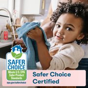 ECOS Hypoallergenic Dish Soap, Grapefruit, 25 Fl Oz