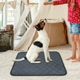 thumbnail image 4 of Washable Pee Pads for Dogs 35.4"X29.5", Absorbent Reusable Training Dog Pads Pet Puppy Pads, Non- Potty Pads for Whelping Playpen Crate Bed, Grey (1 Pack, A), 4 of 7