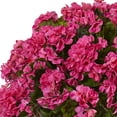 thumbnail image 3 of Nearly Natural UV Resistant Pink Geranium Artificial Flower Arrangement in Planter, 3 of 4