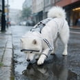 thumbnail image 3 of Dog Raincoat with Full Leg Coverage for Comfortable and Stylish Outdoor Adventures, 3 of 3