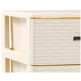 thumbnail image 5 of Cajonera de ordenación RATTAN de plástico Efecto mimbre Torre de almacenaje multiusos - color :Beige - 2 cajones (Beige), 5 of 5