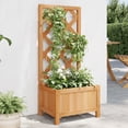 thumbnail image 1 of vidaXL Planter with Trellis Brown Solid Wood Fir, 1 of 5