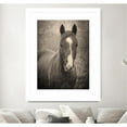 thumbnail image 3 of Giant Art 30x40 Heres Looking at You II Matted and Framed in Multi-Color, 3 of 3