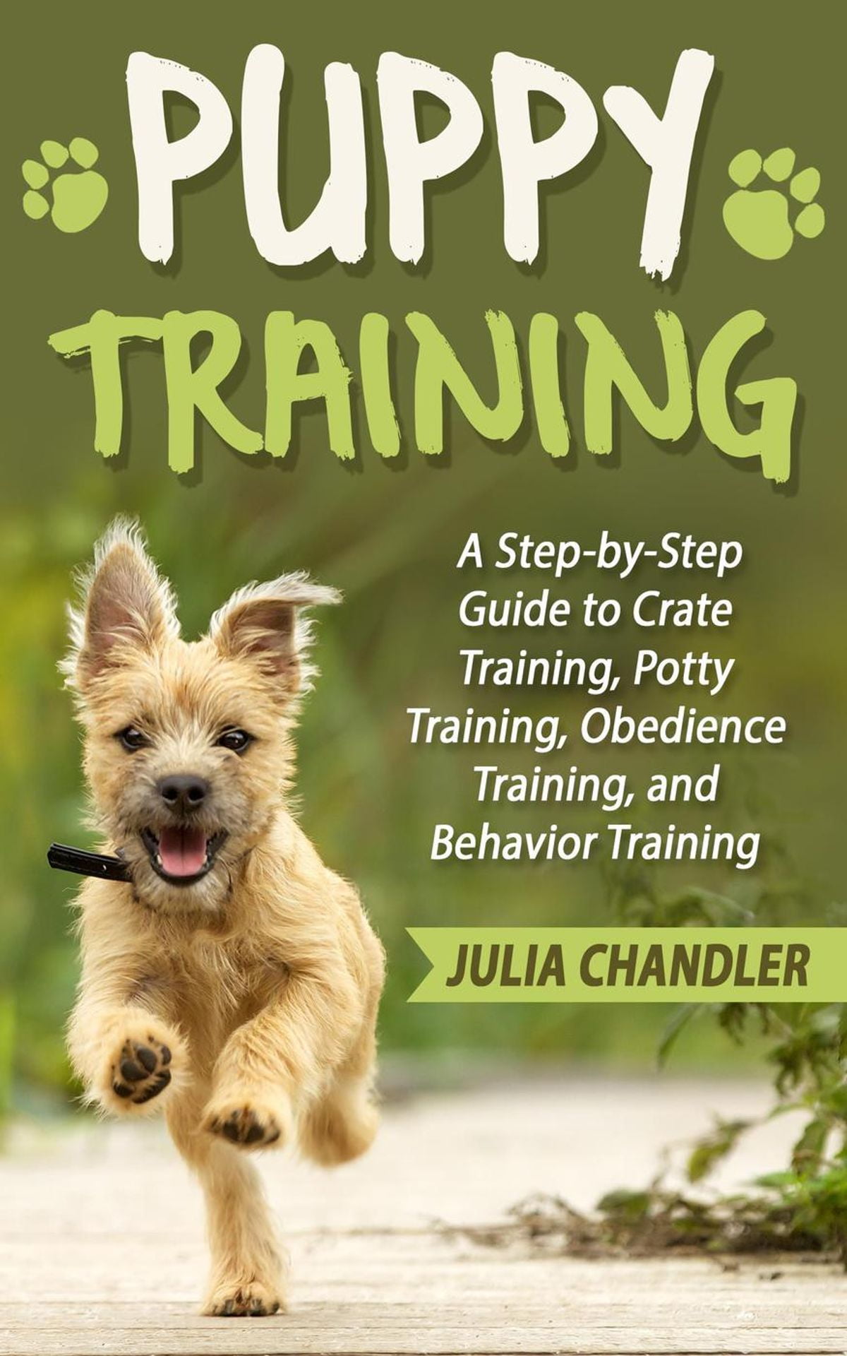 puppy training guide