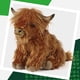 thumbnail image 5 of Suglan Highland Ganado Peluches Lindo Imitación Pelo Largo Ganado Muñecas, 5 of 5
