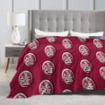 thumbnail image 4 of Dr Pepper Blanket, Super Soft Throw Blanket For Bed Sofa Couch, Cozy Flannel Blanket For Bedroom Livingroom, 50"X40", 4 of 9