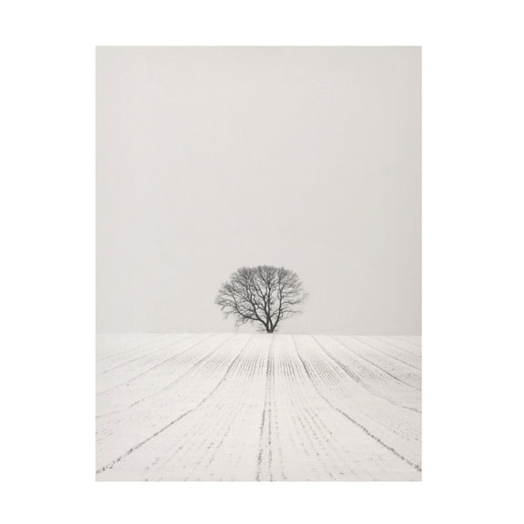 Trademark Fine Art Lena Weisbek White Desert Canvas Wall Art