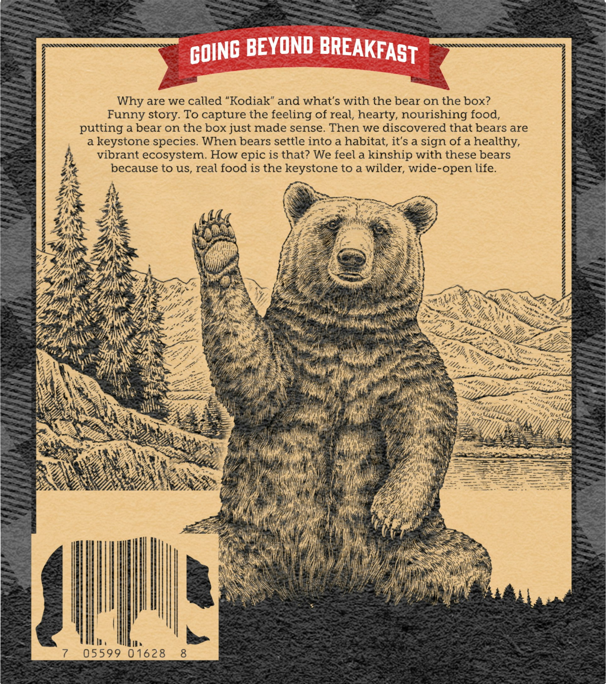 Kodiak Chewy Chocolate Chip Granola Bar 6.17 oz Pack Of 12